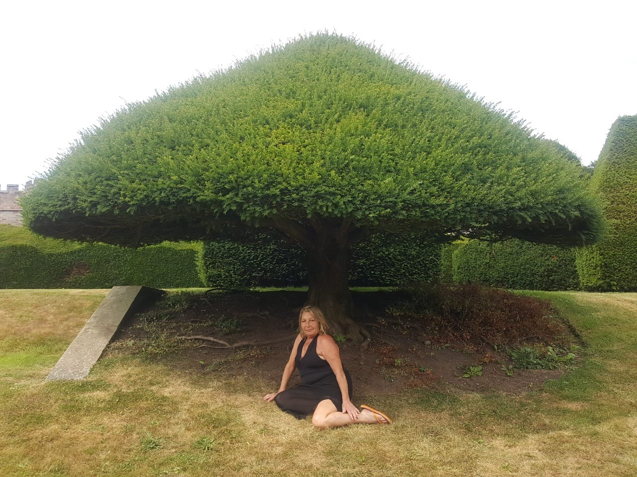 Sandra La Grange